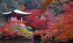 日本商标怎么注册？亚马逊日本商标注册流程